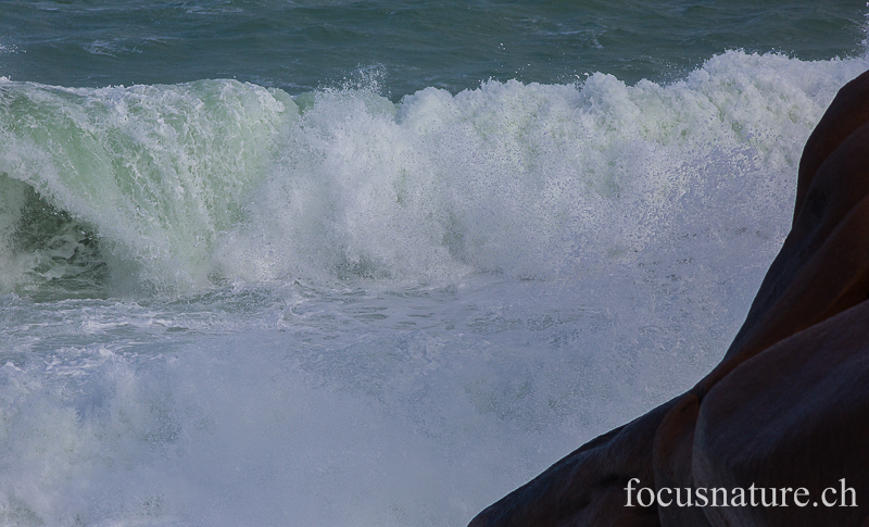 Vague 3373.jpg - Ploumanac'h, Finistère (23 mars 2014)